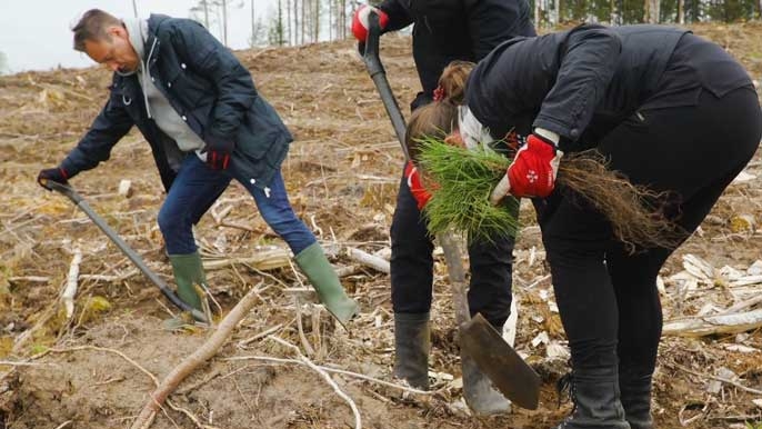 Bild: Klar Mitarbeiter pflanzen jedes Jahr Bäume in FSC-zertifizierten Wäldern nach